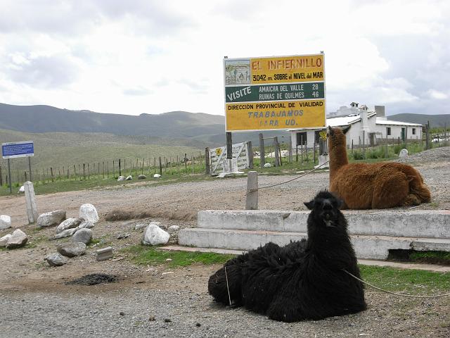 Suedamerika-00548_17-12-2008_18-28-47.jpg