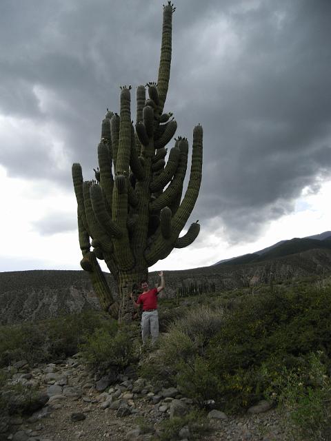 Suedamerika-00549_17-12-2008_18-58-05.jpg