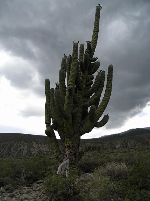 Suedamerika-00550_17-12-2008_18-58-39.jpg