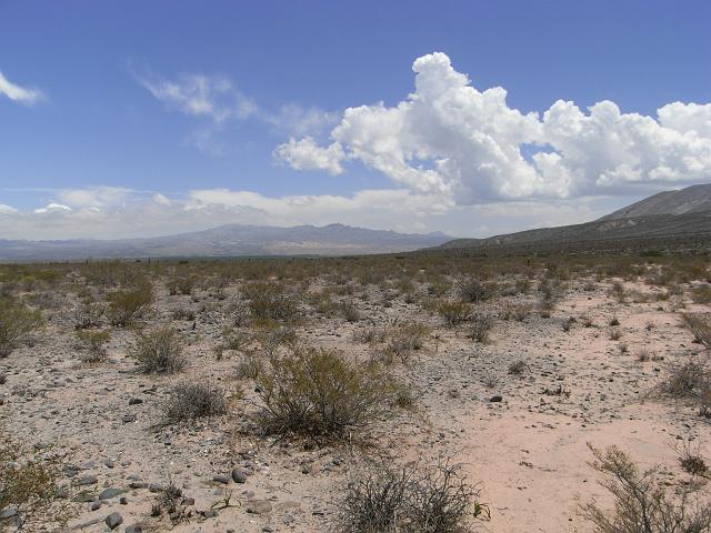 Suedamerika-00698_20-12-2008_18-16-17.jpg