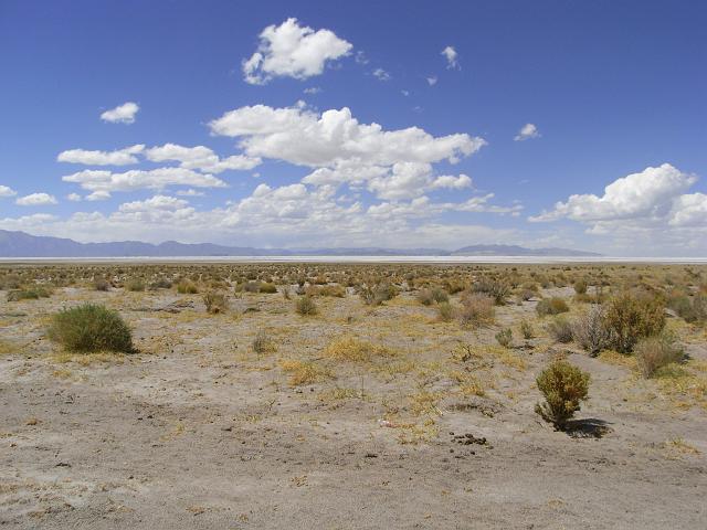 Suedamerika-00828_21-12-2008_19-26-39.jpg