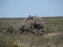 Suedamerika-00110_11-12-2008_16-50-39