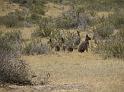 Suedamerika-00120_11-12-2008_17-49-32