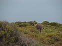 Suedamerika-00123_11-12-2008_18-25-15