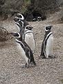 Suedamerika-00188_12-12-2008_15-31-00