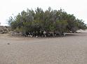Suedamerika-00212_12-12-2008_16-30-41