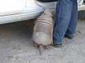 Suedamerika-00214_12-12-2008_19-06-28