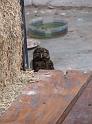 Suedamerika-00290_13-12-2008_16-49-23