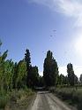 Suedamerika-00317_13-12-2008_22-37-45