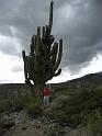 Suedamerika-00549_17-12-2008_18-58-05