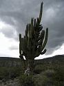 Suedamerika-00550_17-12-2008_18-58-39