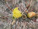 Suedamerika-00552_17-12-2008_18-59-45