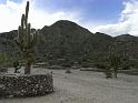 Suedamerika-00557_17-12-2008_19-45-28