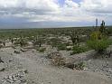 Suedamerika-00560_17-12-2008_20-14-26