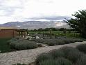 Suedamerika-00643_18-12-2008_22-06-08