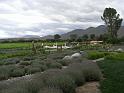 Suedamerika-00644_18-12-2008_22-15-36