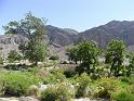 Suedamerika-00776_21-12-2008_14-50-38