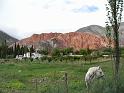 Suedamerika-00872_22-12-2008_13-05-19