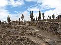 Suedamerika-00924_22-12-2008_14-37-05
