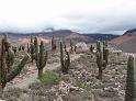 Suedamerika-00940_22-12-2008_14-45-31