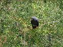 Suedamerika-01177_25-12-2008_14-16-49