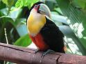 Suedamerika-01267_26-12-2008_14-51-43
