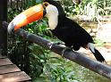 Suedamerika-01279_26-12-2008_15-03-52