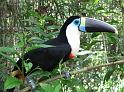 Suedamerika-01283_26-12-2008_15-06-14