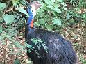 Suedamerika-01296_26-12-2008_15-45-21